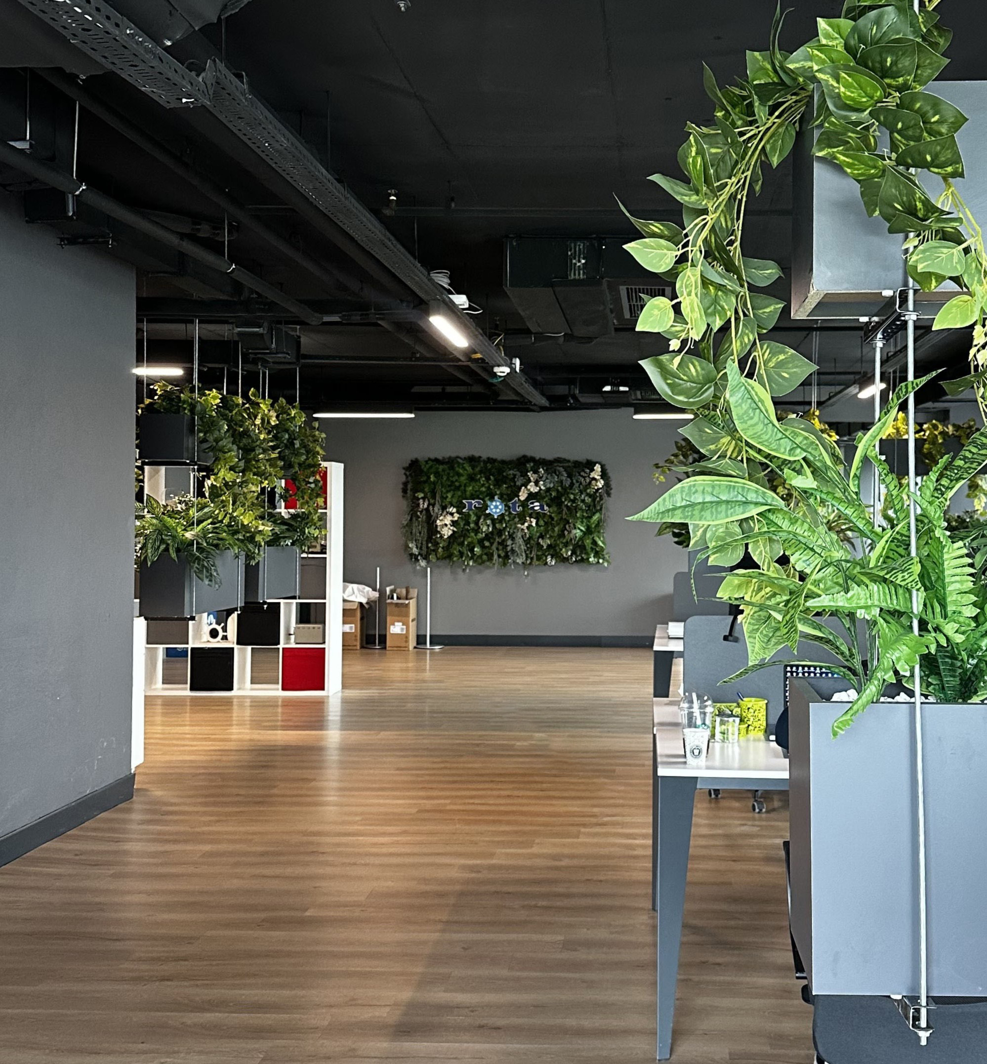 Rota Ofis