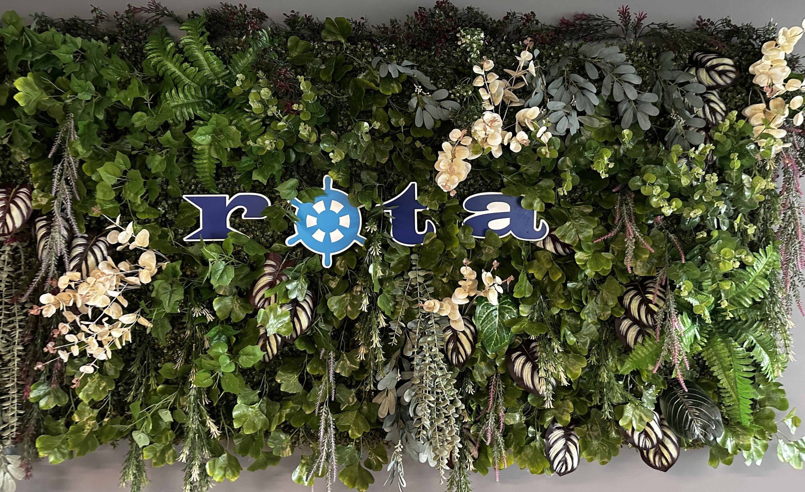 Rota